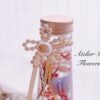 harbarium1day-2